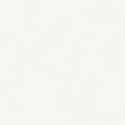 Изображение Обои Rasch Bright Whisper W197001 