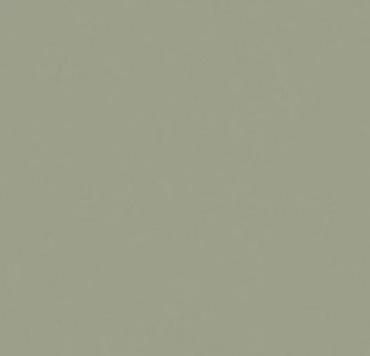 Изображение Линолеум Forbo Sarlon 19dB 0858T4319 artichoke uni 