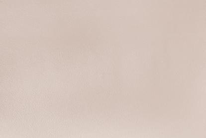 Изображение Обои Elysium Elysium Фокс Е203732 фон 