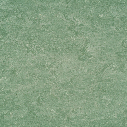 Изображение Линолеум Мармолеум 125-043 leaf green 