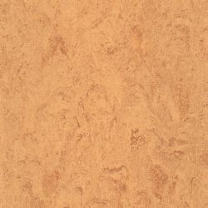 Изображение Линолеум Мармолеум 125-171 sahara beige 