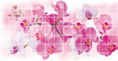 Изображение Стеновые панели Листовые Мозаика Орхидея Розея 