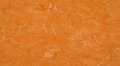 Изображение Линолеум Мармолеум 0073 Spicy Orange 