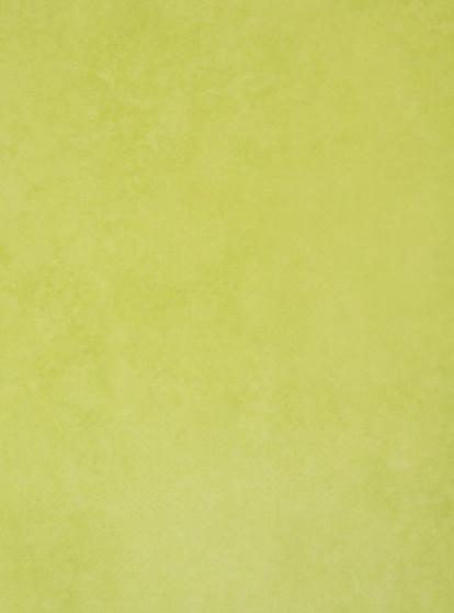 Изображение Линолеум Forbo Emerald Standart 72413 