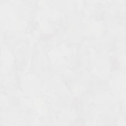 Изображение Обои Rasch Bright Whisper W197013 