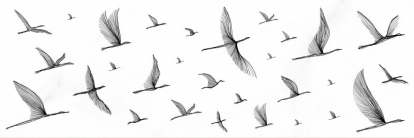 Изображение Керамическая плитка Meissen Декор-вставка Elegance птицы белый EG2U051 